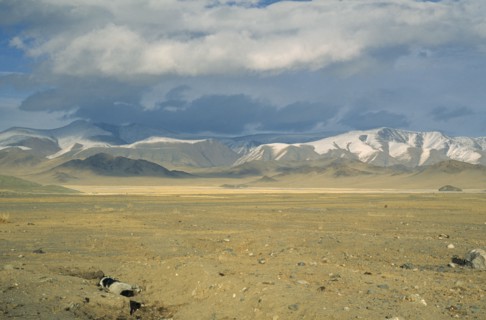 MONGOLIA, Bayan Olgii Province, Open steppe lands near Kazakh inhabited Deluun. Dead animal in a