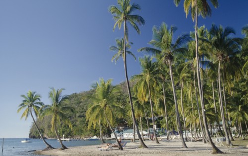 ST LUCIA, Marigot Bay, Sunbathers on stretch of sandy beach with palm trees to waters edge.
