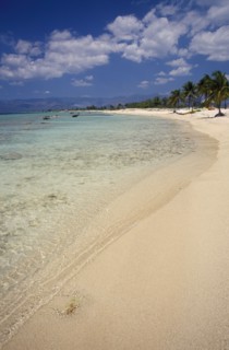 CUBA, Peninsula de Ancon, "Empty strip of sandy beach, clear shallow water and palms near Trinidad