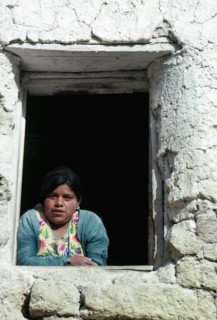 GUATEMALA, Highlands, Baker looking out of a window.