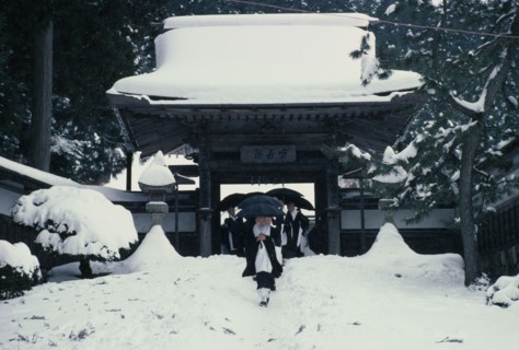 JAPAN, Honshu, Kii Peninsula, Mount Koya-san.  Venerated Shingon-Buddhist site.  Novice monks