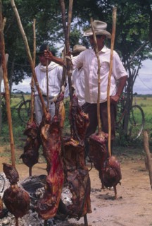 COLOMBIA, Casanare, "Carne a la llanera, A group of men with cooked meat on sticks."