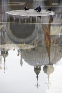 ITALY, Veneto, Venice, Aqua Alta High Water flooding in St Marks Square with pigeons on a dry piece