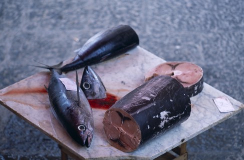 ITALY, Sicily, Catania, La Pescheria di Sant Agata. Fish market with a selection of fish on a