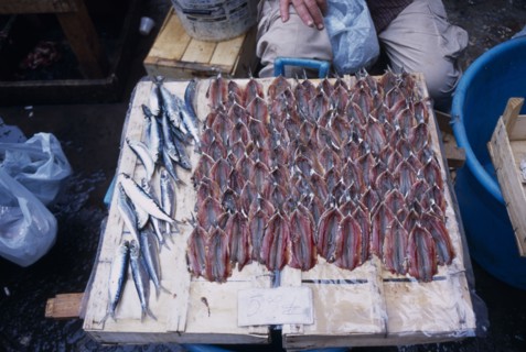 ITALY, Sicily, Catania, La Pescheria di Sant Agata. Fish Market with mackerel and filleted