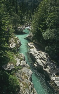 SLOVENIA , Trenta Valley, "The clear green water of the Soca River flowing through a narrow gorge