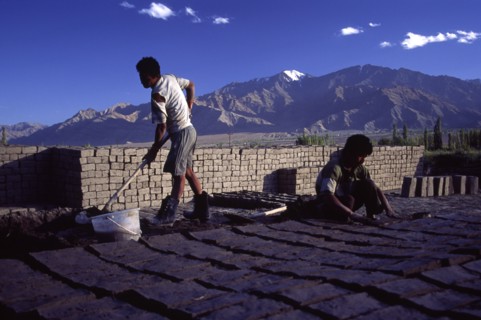 INDIA, Ladakh, Thikse , "Mud brick manufacture, mud bricks are the traditional material used for