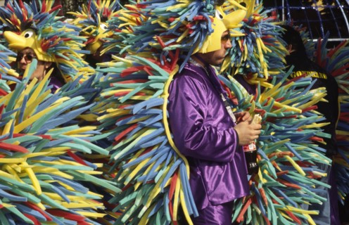 CROATIA, Kvarner, Rijeka, "Mask carnival, hedgehog costume. The Masked carnival held on the Sunday