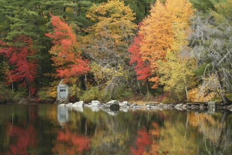USA, New Hampshire, Sandwich, Autumn foliage on the shore of Squam Lake.