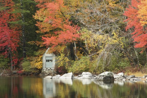 USA, New Hampshire, Sandwich, Autumn foliage on the shore of Squam Lake.