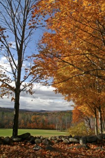 USA, New Hampshire, Meredith, Autumnal foliage
