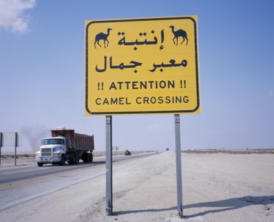 SAUDI ARABIA, Transport, Camel Crossing road sign on Eastern Highway to Dammam with passing truck