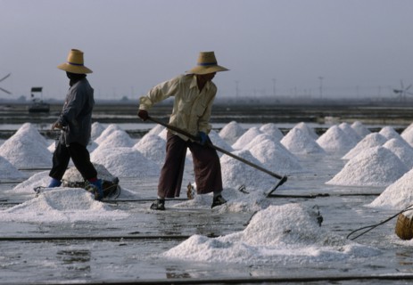 THAILAND, Industry, Workers on salt farm.