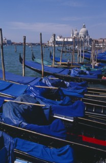 ITALY, Veneto, Venice, Line of gondolas moored at Piazza San Marco jetty with Santa Maria della
