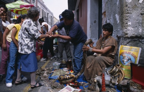 PERU, Lima, "Shaman selling snake grease and other ‘cures’ for ailments on city street with stall