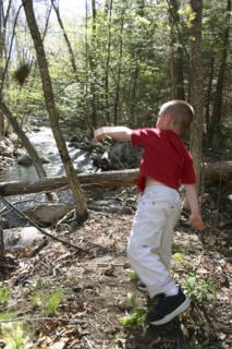 CHILDREN, Infant, Boys, Tyler Stone throwing rocks into brook.