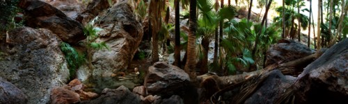 Australia, Western Australia, Near Kununurra, Panorama of the Zebedee Springs on El Questro