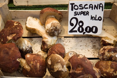 ITALY, Veneto, Venice, Toscana Portabello mushrooms for sale in the vegetable market in the San