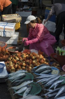 SOUTH KOREA, Yeongnam, Busan, "Seafood vendor at Jagalchi Market, the largest fish market in Korea"