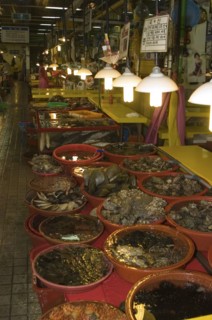 SOUTH KOREA, Yeongnam, Busan, "Shellfish in Shin Dong-A Building, Jagalchi Market"