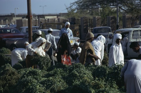 QATAR, Doha, Leaf vegetables for sale at the Souk or market