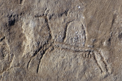 QATAR, Fuhairat, Ancient rock engravings of animals