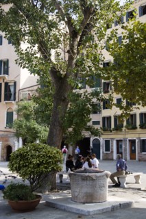 ITALY, Veneto, Venice, "Adults and children under a tree beside a capped well in the square of the