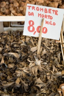 ITALY, Veneto, Venice, "Trombete da Morto, Trumpet of Death, mushrooms for sale in the Rialto