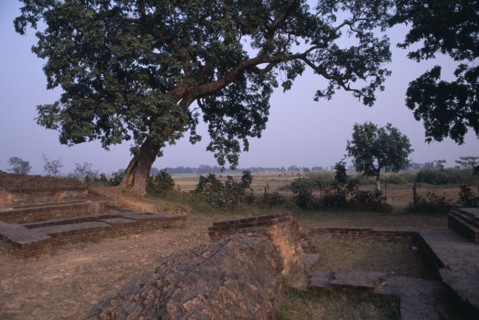 NEPAL, Lumbini, Historic site said to be the birthplace of Buddha.  Ruins of the old palace where