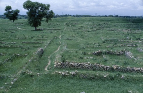 PAKISTAN, Punjab, Taxila, Sirkap mound in ancient site.