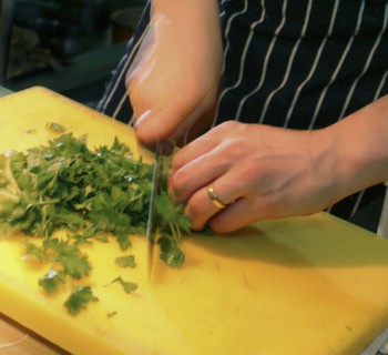 ENGLAND, Bristol, Bristol, Chopping Fresh Corriander