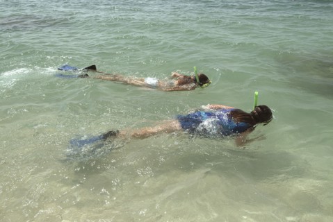 AUSTRALIA, Queensland, Fitzroy Island, Snorkelling on Nudie beach