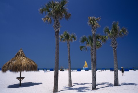 USA, Florida, St Petersburg Beach, Palm trees on sandy beach with blue windbreaks and small tiki