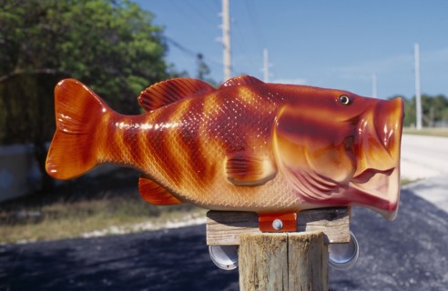 USA, Florida,  Fish mailbox