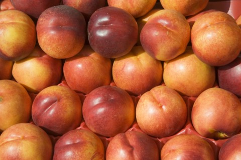 ENGLAND, West Sussex, Shoreham-by-Sea, French Market. Detail of Nectarines on market stall