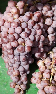 ENGLAND, West Sussex, Shoreham-by-Sea, French Market. Bunches of red grapes on market stall