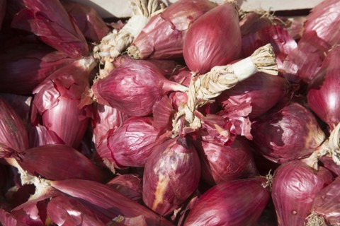 ENGLAND, West Sussex, Shoreham-by-Sea, French Market. Detail of red onions on market stall