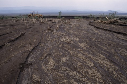 KENYA, Masai Mara, Landscape, Overgrazing on the hillsides has caused massive flooding and removal