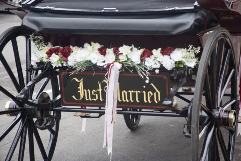 ENGLAND, Dorset, Corfe, Detail of a Just Married sign on the back of a Horse and carriage decorated