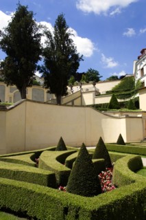 CZECH REPUBLIC, Bohemia, Prague, Trimmed box hedging and conifers at The Vrtba Gardens in the