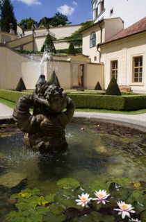 CZECH REPUBLIC, Bohemia, Prague, Fountain and water lillies set amonsgt trimmed box hedging and