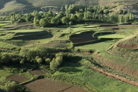 IRAN, Alborz Mountains, Traditional irrigated terraces. Farming