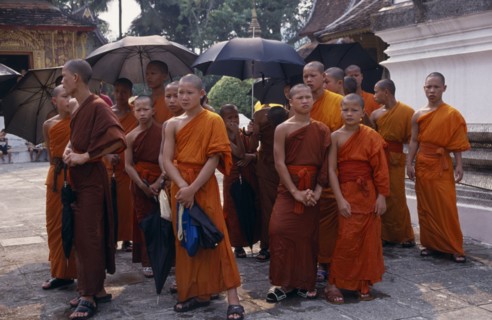 LAOS, Luang Prabang, "Group of young, Buddhist monks, some holding umbrellas as sun shades."