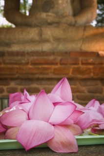 SRI LANKA, Anuradhapura, "Close-up of offerings left at the Samadhi Buddha Statue, regarded as one