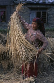 NEPAL, General, Woman in traditional dress with straw.