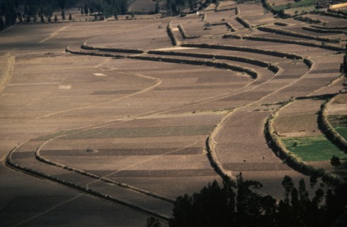 PERU, Cusco, Agriculture, Contour ploughing and terraces near Pisac.