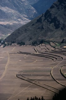 PERU, Cusco, Agriculture, Contour ploughing and terraces near Pisac.