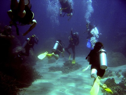 Australia, Queensland, Cairns, "Divers converge on the instructor during dive on Agincourt Reef,
