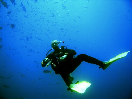 Australia, Queensland, Cairns, Dive instructor - Dive instructor keeping an eye on his flock.
