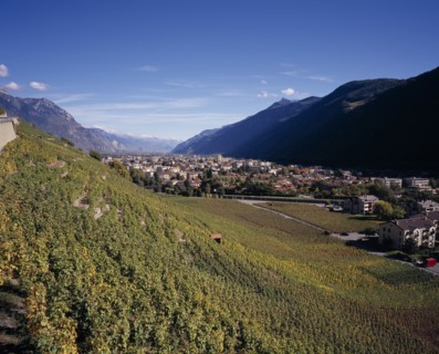SWITZERLAND, Valais, Martigny, Elevated view east along Rhone Valley above Vineyards and town